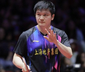 德国媒体透露：樊振东参加德甲时间初定，门票备受追捧